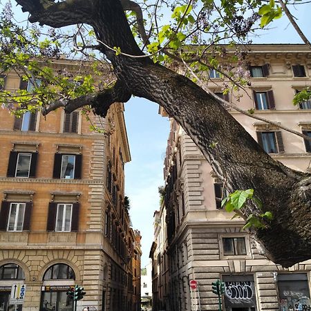 Vatican Near Sweet Home Terrace Roma Esterno foto